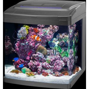 Coralife Silicone SMART BioCube Jr. Aquarium Starter Kit, 14-gal