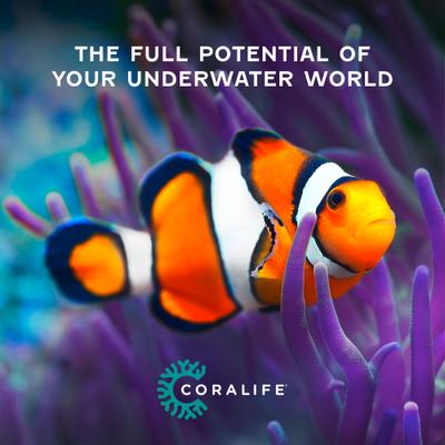 Show full view: Coralife Silicone SMART BioCube Jr. Aquarium Starter Kit, 14-gal slide 9 of 12