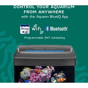 Coralife Silicone SMART BioCube Jr. Aquarium Starter Kit, 14-gal