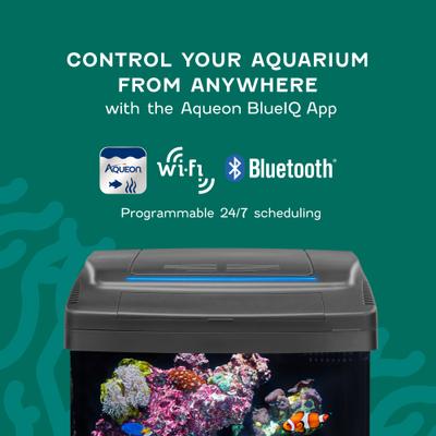 Show full view: Coralife Silicone SMART BioCube Jr. Aquarium Starter Kit, 14-gal slide 6 of 12
