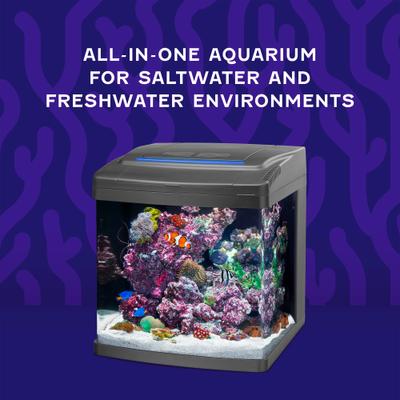 Show full view: Coralife Silicone SMART BioCube Jr. Aquarium Starter Kit, 14-gal slide 3 of 12