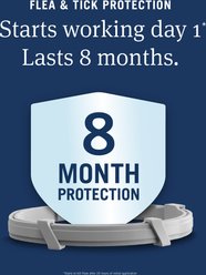 PetArmor Extend Flea & Tick Collar for Cats, 1 Collar (8-mos. supply) slide 2 of 9