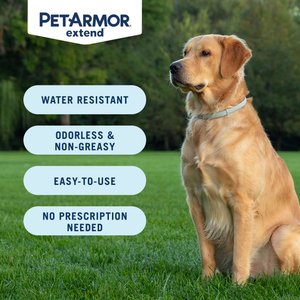 PetArmor Extend Flea & Tick Collar for Dogs, 1 Collar (8-mos. supply), over 18 lbs