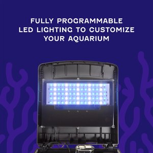 Coralife Silicone SMART BioCube Jr. Aquarium Starter Kit, 14-gal