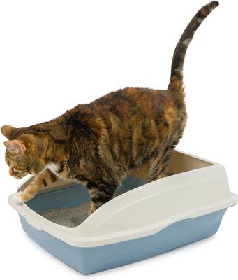 Show full view: Van Ness Large Framed Cat Litter Pan, Color Varies, Large slide 6 of 9