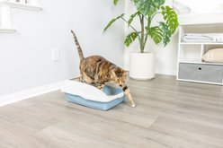 Van Ness Large Framed Cat Litter Pan, Color Varies, Large