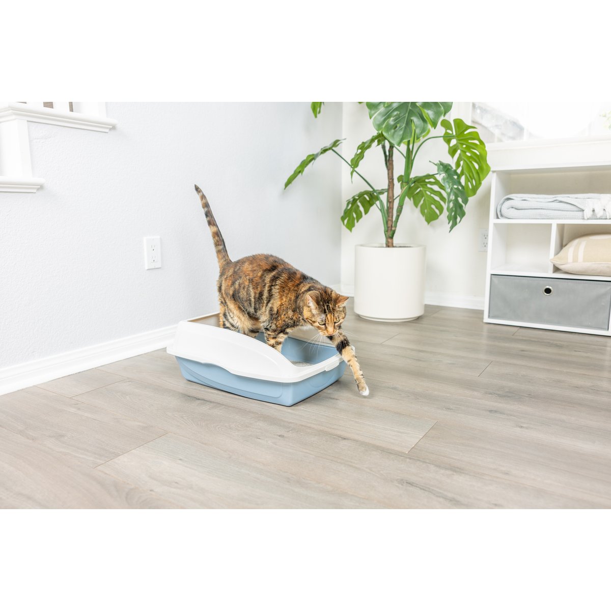Van Ness Large Framed Cat Litter Pan, Color Varies, Large