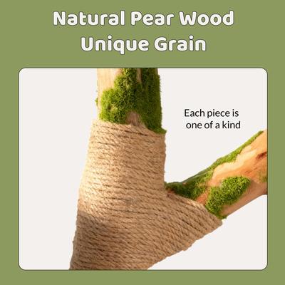 Show full view: Happy & Polly Emerald Forest Cat Tree slide 6 of 9