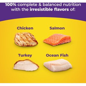 Meow Mix Original Choice Dry Cat Food, 22-lb bag