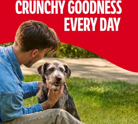 Show full view: Milk-Bone Original Beef Flavored Crunchy Medium Dog Treats, 10-lb box slide 6 of 10