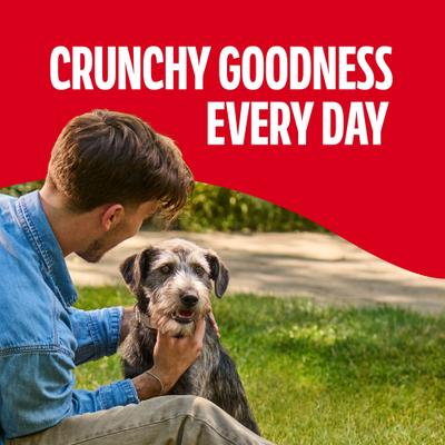 Show full view: Milk-Bone Original Medium Biscuit Dog Treats, 1.06-lb box, case of 6 slide 9 of 12