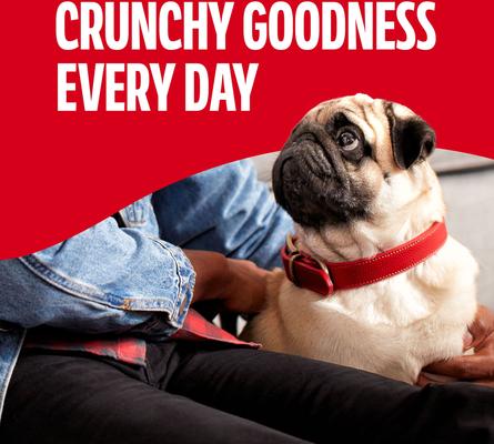 Show full view: Milk-Bone Original Beef Flavored Crunchy Mini Dog Treats, 15-oz box slide 6 of 10