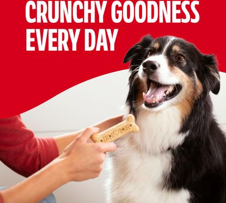 Show full view: Milk-Bone Original Beef Flavored Crunchy Large Dog Treats, 10-lb box slide 6 of 10