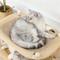 Show in main carousel: NonoPets Double Layer Wooden Frame Elevated Lounge Cat Hammock Bed slide 3 of 3
