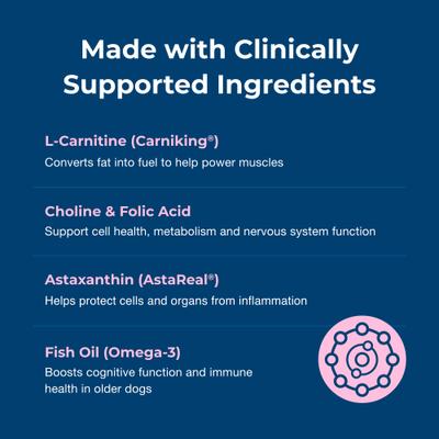 Show full view: PetAg Dyne Chicken Liver Flavored Soft Chew Endurance & Vitality Supplement for Dogs, 60 count slide 5 of 7