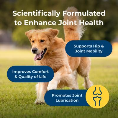 Show full view: PetAg Dyne Chicken Liver Flavored Soft Chew Joint Health & Mobility Supplement for Dogs, 45 count slide 4 of 7