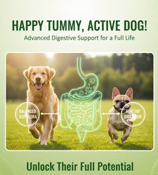 PetPal Probiotic Healthy Gut & Digestive Support Soft Chews for Dogs, 8-oz can slide 2 of 5