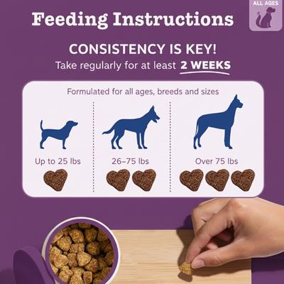 Show full view: PetPal Itch, Skin & Seasonal Support Allergy Relief Soft Chews for Dogs, 8-oz can slide 5 of 7