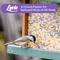 Show in main carousel: Lyric Wild Bird Food, 40-lb bag slide 8 of 9