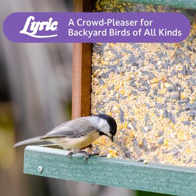 Show full view: Lyric Wild Bird Food, 40-lb bag slide 8 of 9