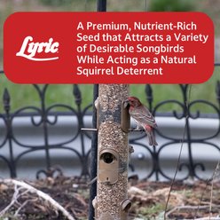 Lyric Golden Safflower Seed Wild Bird Food, 5-lb bag slide 2 of 9