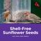 Show in main carousel: Lyric Sunflower Kernels Wild Bird Food, 25-lb bag slide 8 of 10