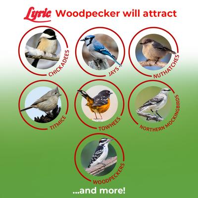Show full view: Lyric Woodpecker No Waste Mix Wild Bird Food, 5-lb bag slide 5 of 10