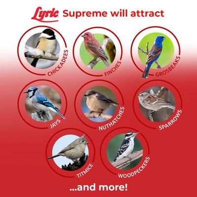 Show full view: Lyric Supreme Wild Bird Food, 4.5-lb bag slide 5 of 11