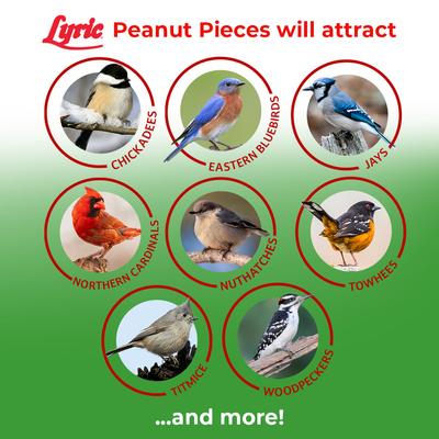 Show full view: Lyric Peanut Pieces Wild Bird Food, 15-lb bag slide 5 of 10