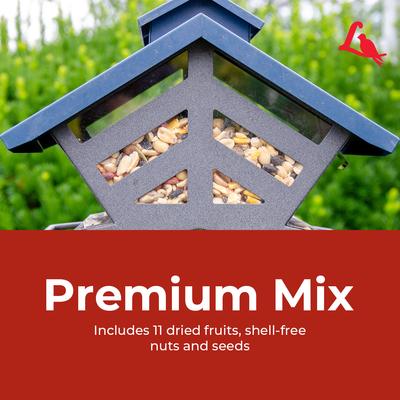 Show full view: Lyric Fruit & Nut High Energy Mix Wild Bird Food, 20-lb bag slide 8 of 11