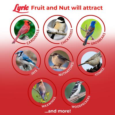 Show full view: Lyric Fruit & Nut High Energy Mix Wild Bird Food, 20-lb bag slide 5 of 11