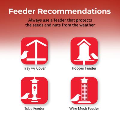 Show full view: Lyric Fruit & Nut High Energy Mix Wild Bird Food, 20-lb bag slide 6 of 11