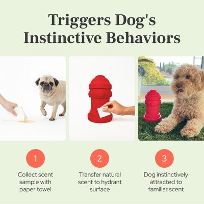 Show full view: Bark Potty Soft Silicone Fire Hydrant Potty Training for Small Dogs, 4 x 7-in, Red slide 4 of 11