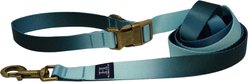 Hamilton Eco Venture Recycled Ombre Adjustable Dog Leash, Sage, Medium/Large: 4 to 6-ft long, 1-in wide