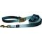 Show in main carousel: Hamilton Eco Venture Recycled Ombre Adjustable Dog Leash, Sage, Medium/Large: 4 to 6-ft long, 1-in wide slide 1 of 7