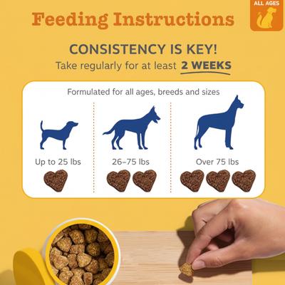 Show full view: PetPal Immune, Skin & Energy Support All-In-One Multivitamin Soft Chews for Dogs, 8-oz can slide 5 of 6