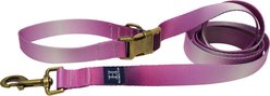 Hamilton Eco Venture Recycled Ombre Adjustable Dog Leash, Raspberry, Medium/Large: 4 to 6-ft long, 1-in wide