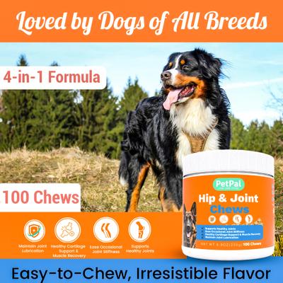 Show full view: PetPal Glucosamine & Chondroitin Hip & Joint Support Soft & Chewy Dog Treats, 8-oz can slide 4 of 7