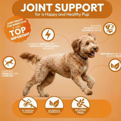 Show full view: PetPal Glucosamine & Chondroitin Hip & Joint Support Soft & Chewy Dog Treats, 8-oz can slide 3 of 7