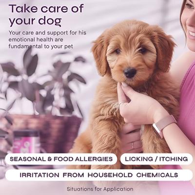 Show full view: PetPal Itch, Skin & Seasonal Support Allergy Relief Soft Chews for Dogs, 8-oz can slide 4 of 7