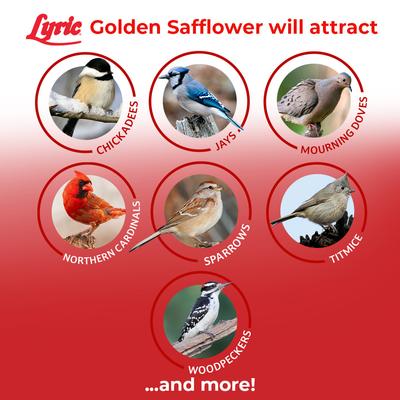 Show full view: Lyric Golden Safflower Seed Wild Bird Food, 12-lb bag slide 5 of 10