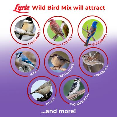 Show full view: Lyric Wild Bird Food, 40-lb bag slide 5 of 9