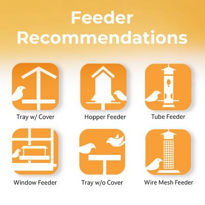 Show full view: Lyric Black Oil Sunflower Wild Bird Food, 25-lb bag slide 6 of 9