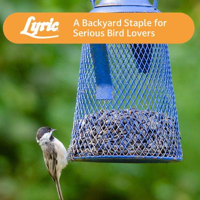 Show full view: Lyric Black Oil Sunflower Wild Bird Food, 25-lb bag slide 8 of 9