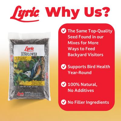 Show full view: Lyric Black Oil Sunflower Wild Bird Food, 25-lb bag slide 3 of 9