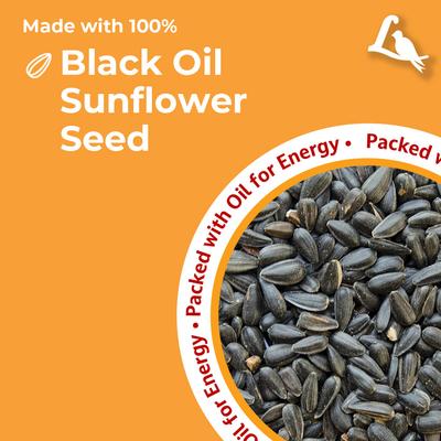 Show full view: Lyric Black Oil Sunflower Wild Bird Food, 25-lb bag slide 4 of 9