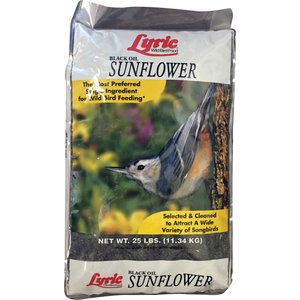 Lyric Black Oil Sunflower Wild Bird Food, 25-lb bag