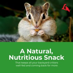 Lyric Wildlife Food Wild Bird & Small Pet Food, 10-lb bag slide 2 of 9