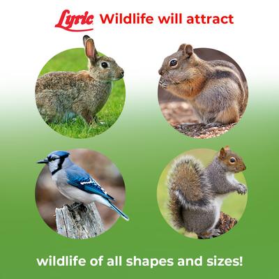 Show full view: Lyric Wildlife Food Wild Bird & Small Pet Food, 10-lb bag slide 5 of 10