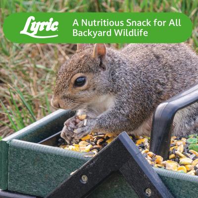 Show full view: Lyric Wildlife Food Wild Bird & Small Pet Food, 10-lb bag slide 9 of 10